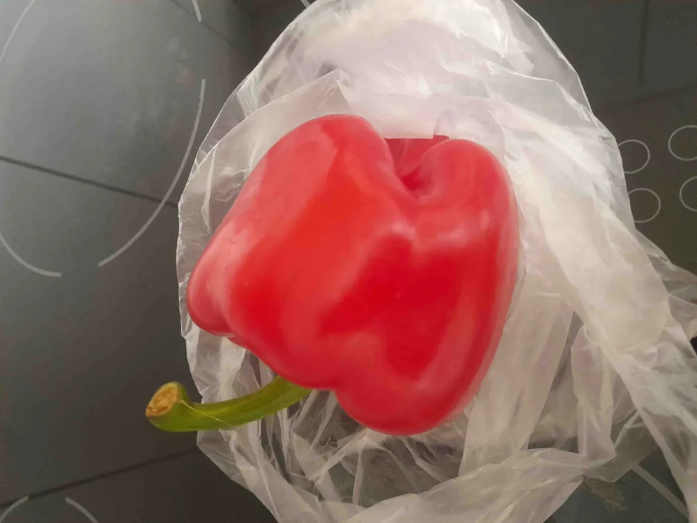 Peperoni (Paprika) rot