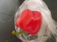 Peperoni (Paprika) rot