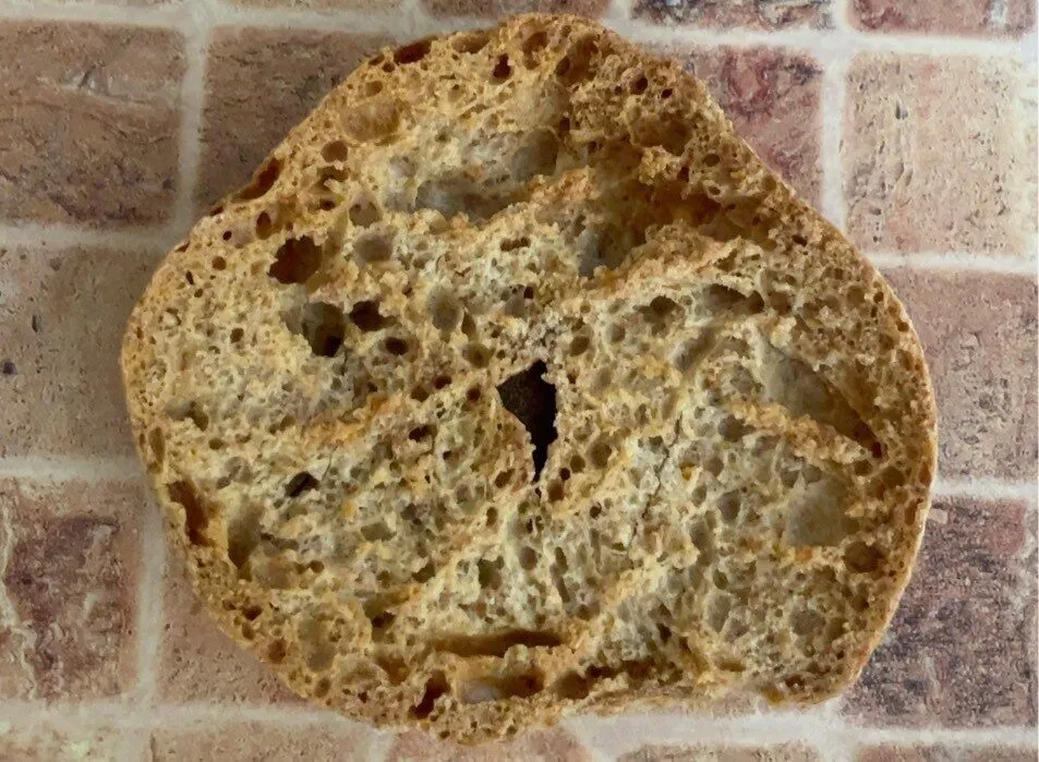 Freselle integrali