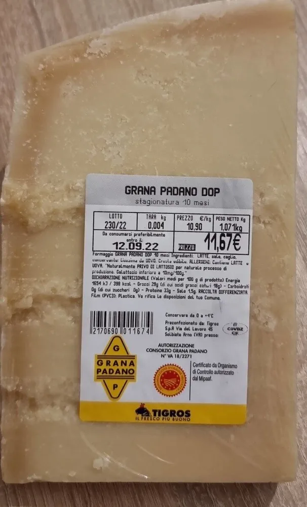 Grana Padano DOP 10 MESI