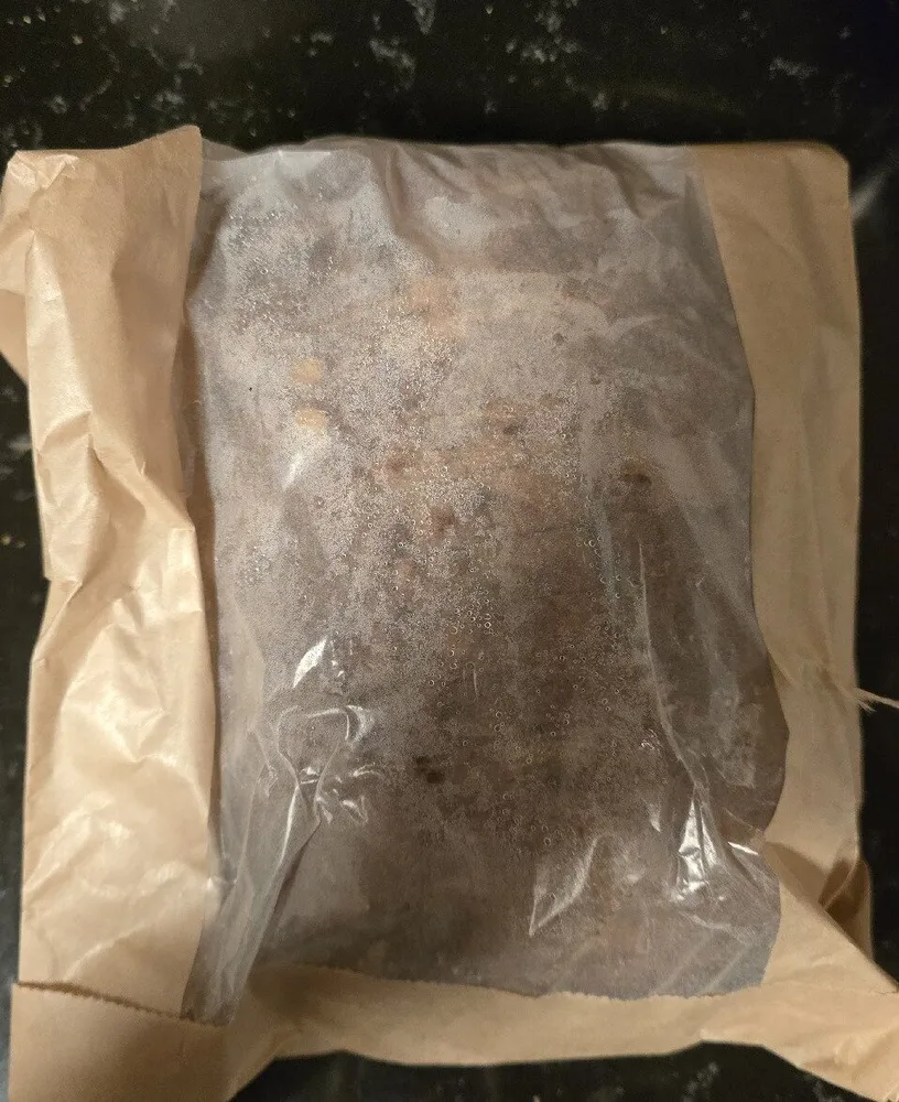 Batard Desem Pompoen