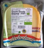 Queso gouda holland