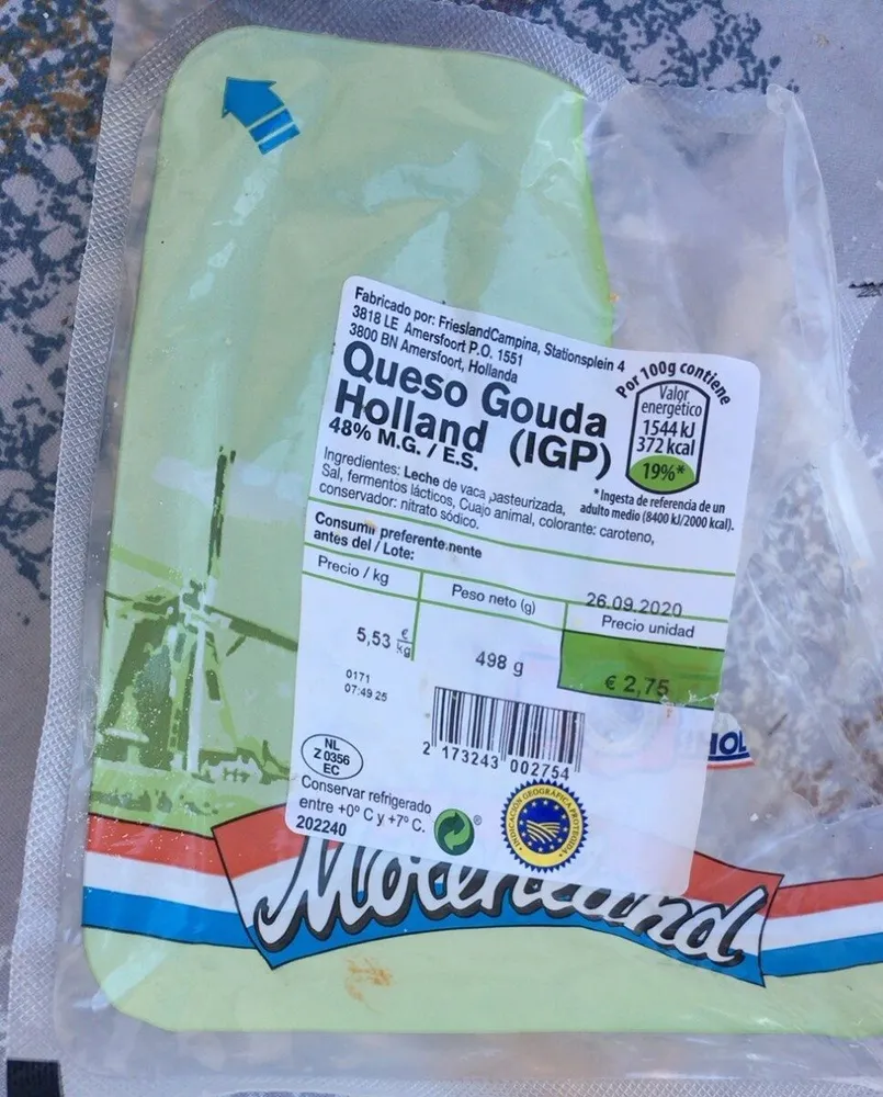Queso gouda holland