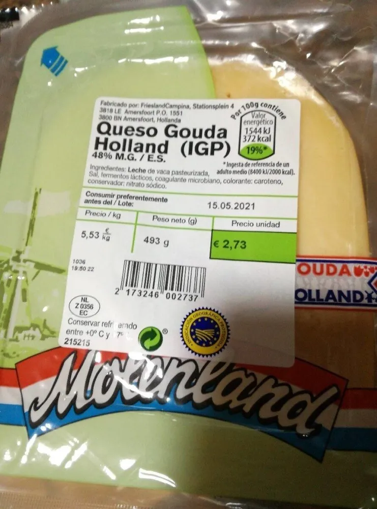 Gouda molenland