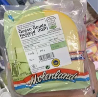 Gouda holland