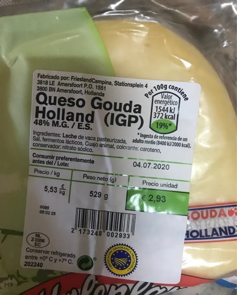 Queso gouda holland