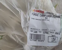 Funghi Champignon