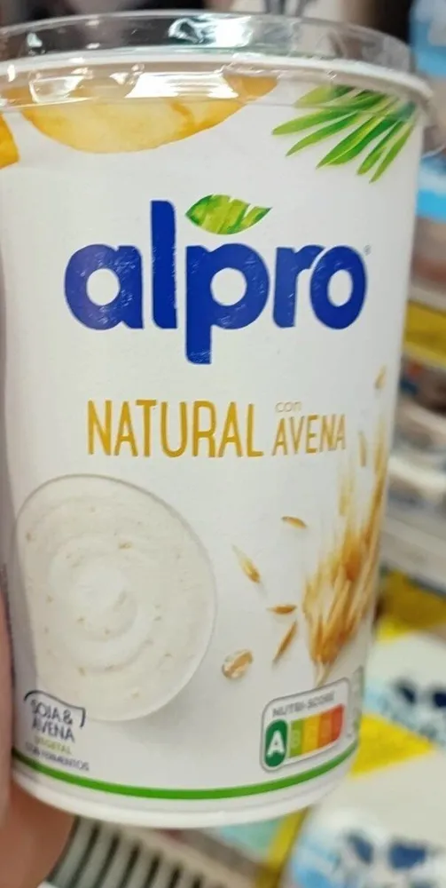 Yogurt avena