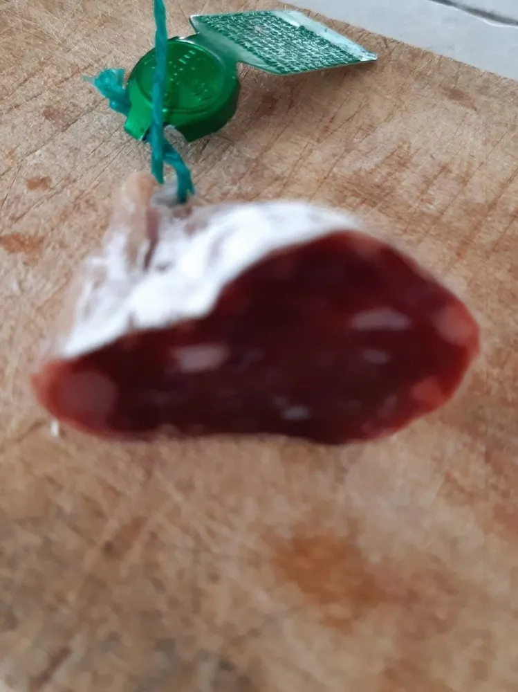 Saucisson de canard