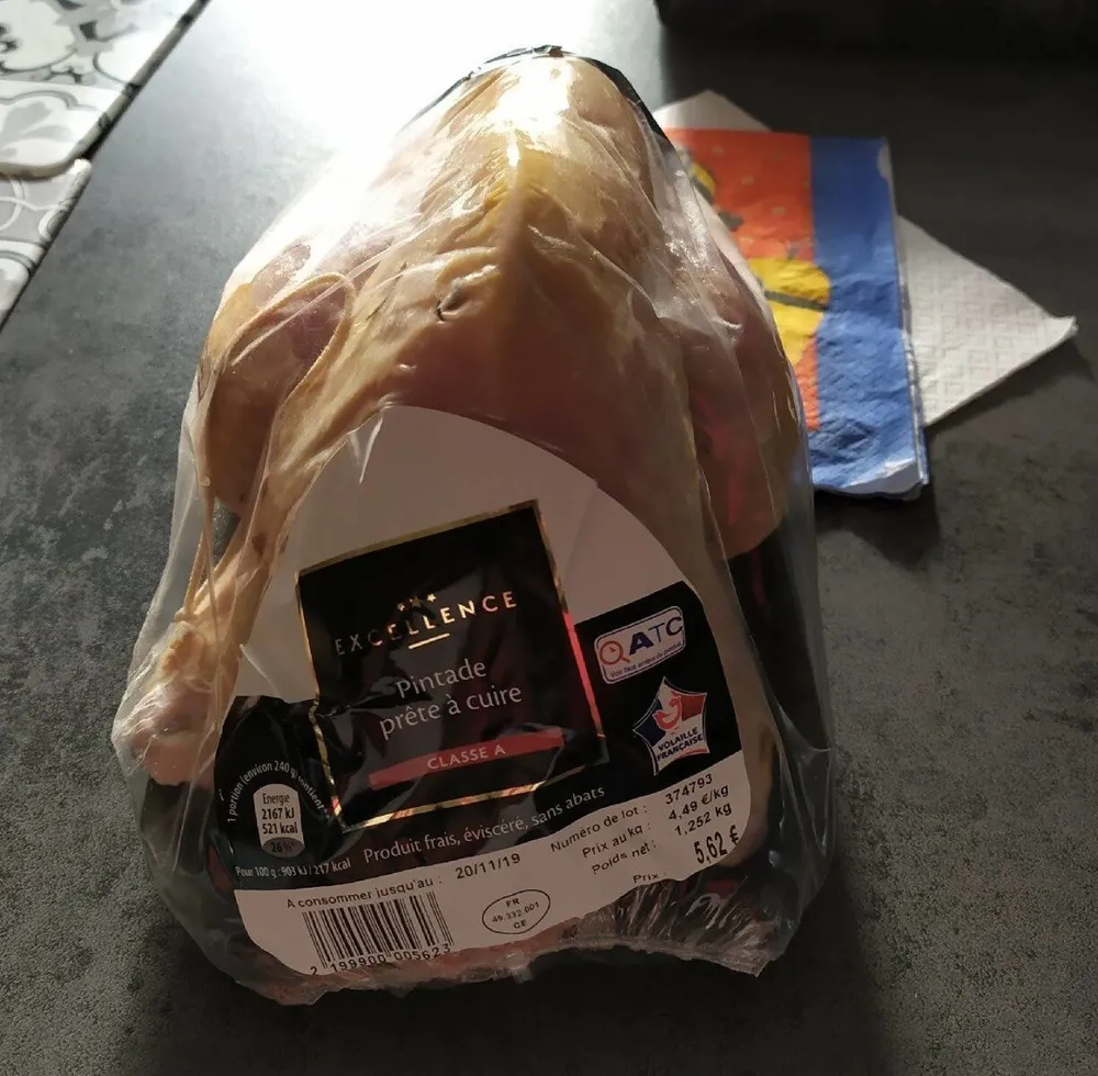 Pintade