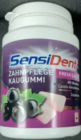 Zahnpflege Kaugummi Fresh Casis