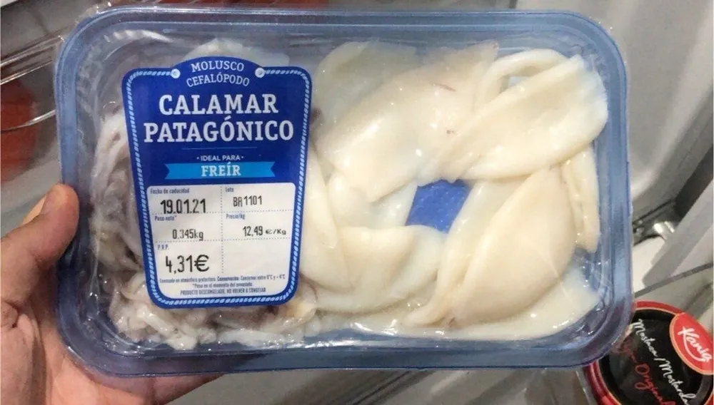 Calamar patagonico