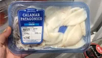 Calamar patagonico