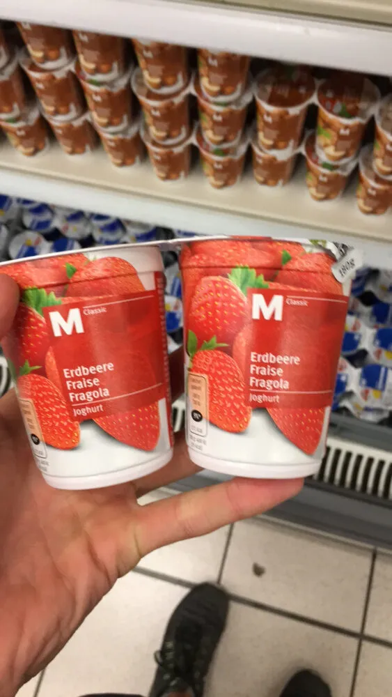 Jogurt