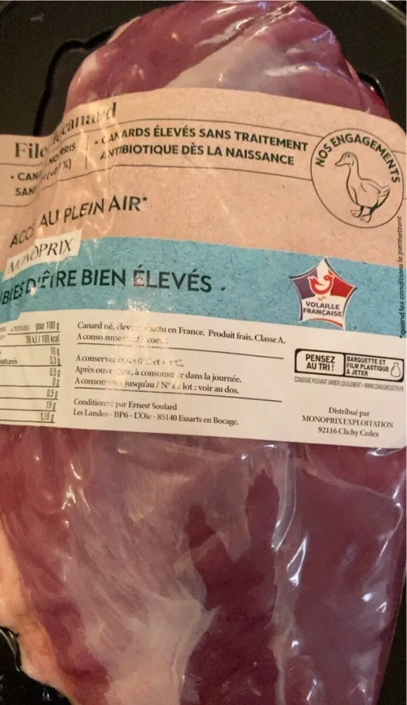 Filet de canard