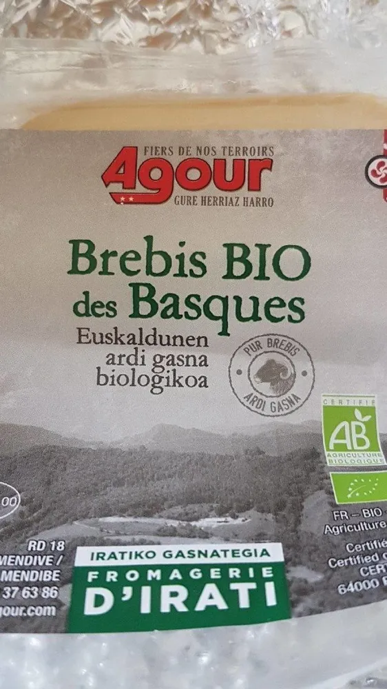 Brebis bio des Basques