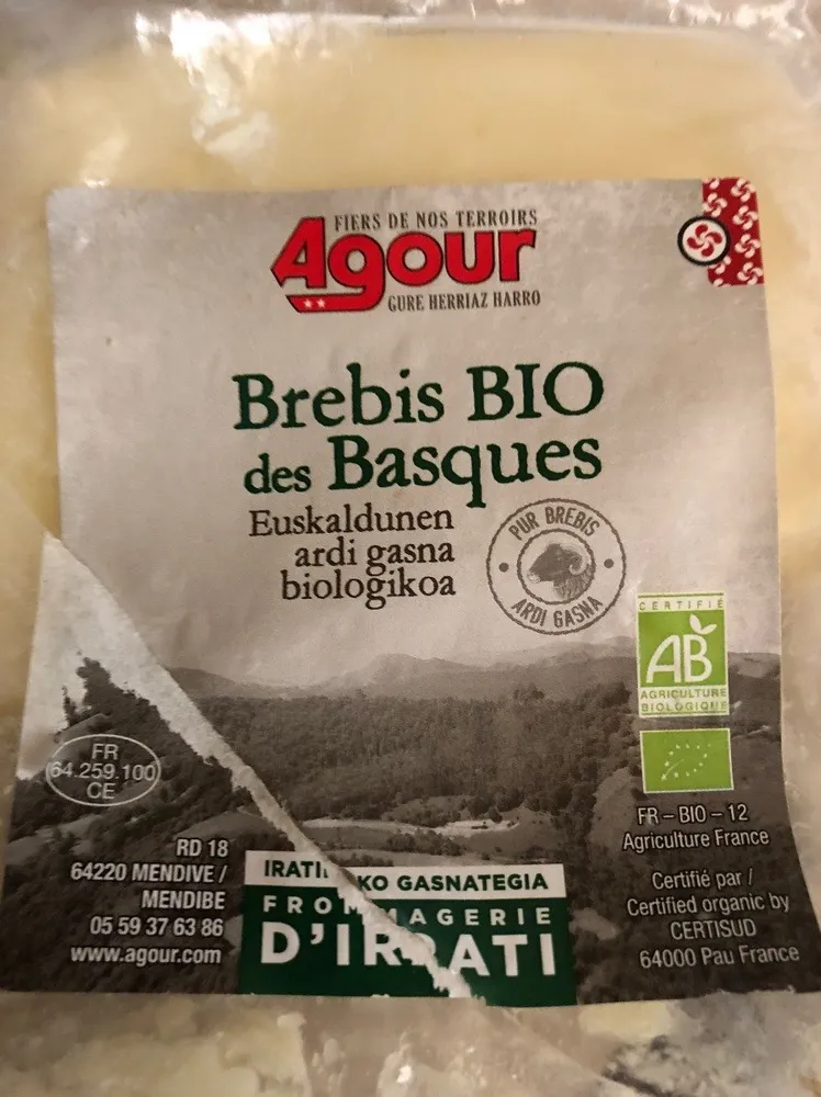 Brebis bio des basques