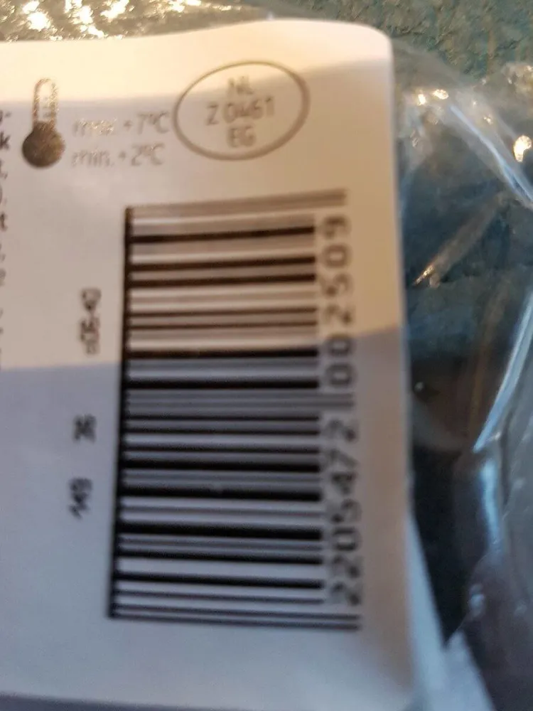 queso iberico