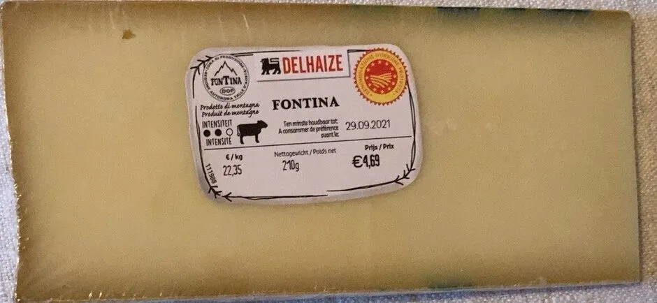 Fontina