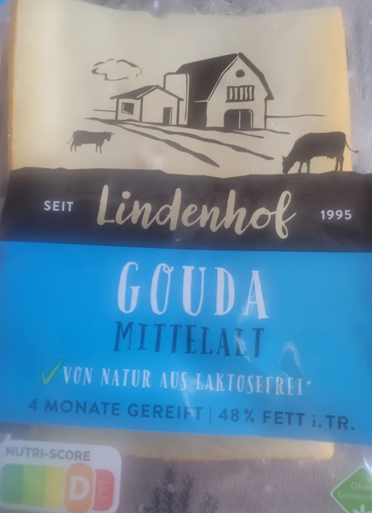 Gouda mittelalt