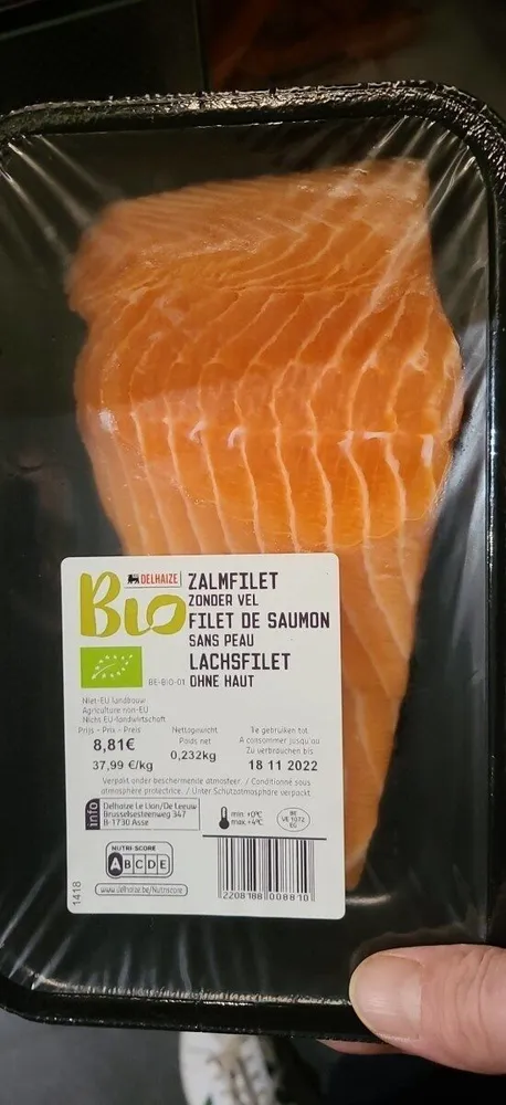 Filet de saumon