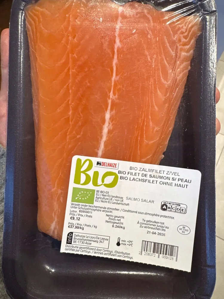 Salmon