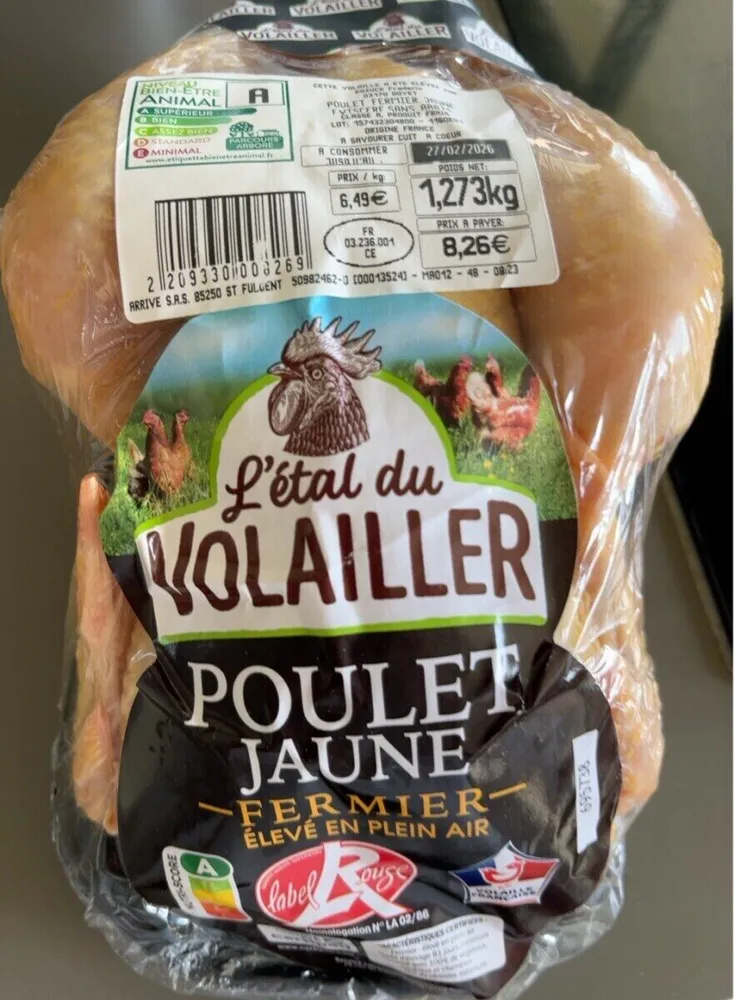 Poulet jaune fermier plein air