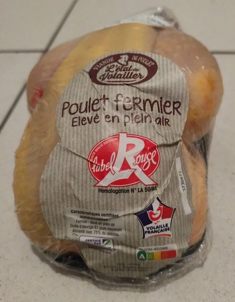 Poulet fermier Élevé en plein air