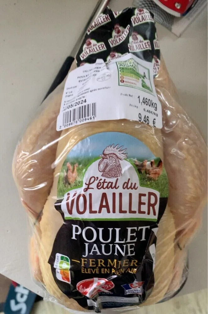 Poulet jaune