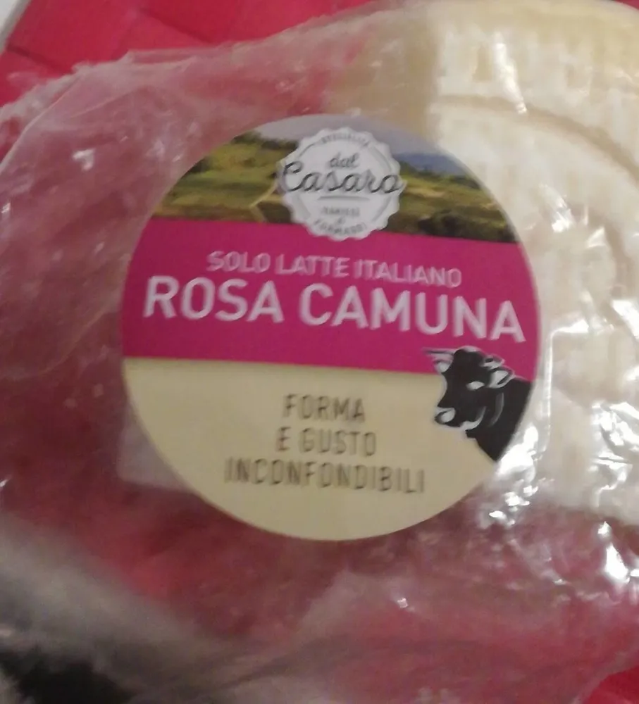 Rosa camuna