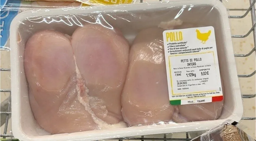 Petto di pollo