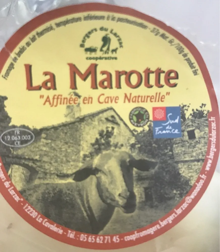 La marotte