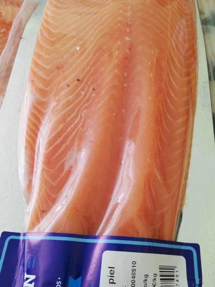 Salmon