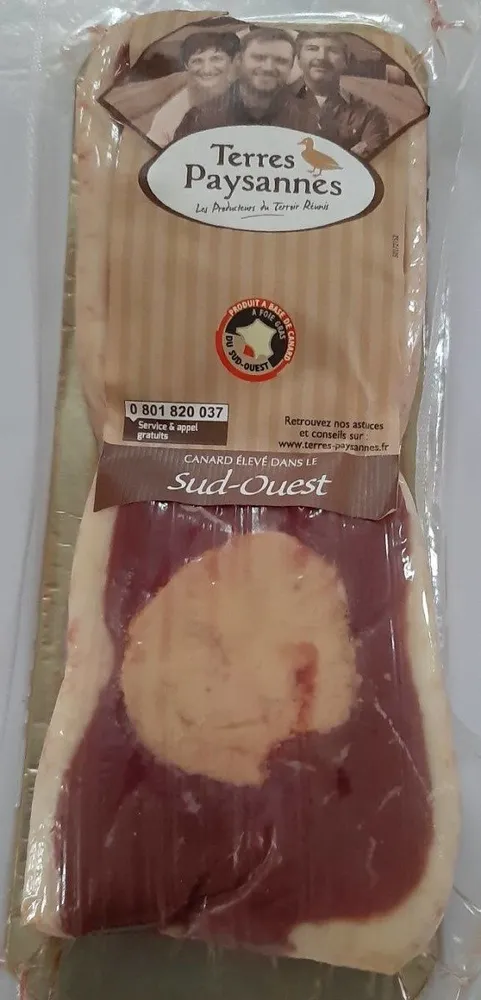 Tournesols de magret au foie de canard
