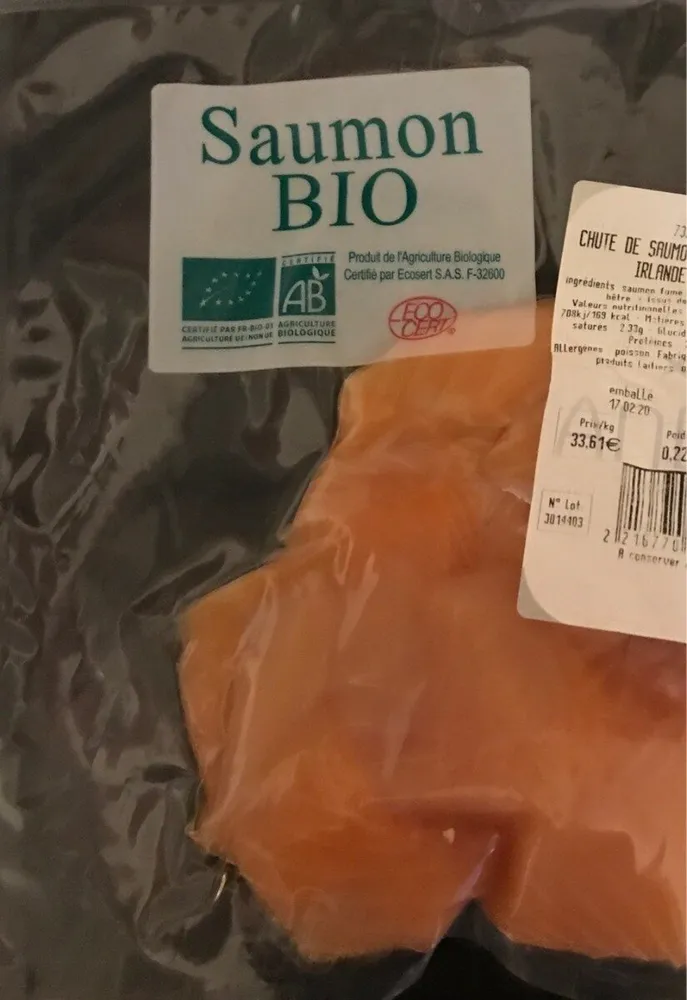 Chute de Saumon bio