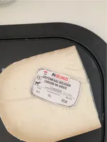 Chèvre mi- vieux
