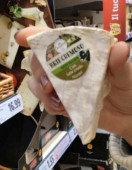 Brie cremoso