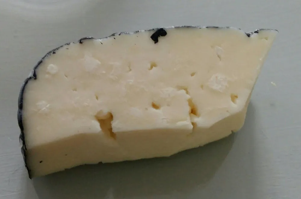 Tomme des Pyrénées