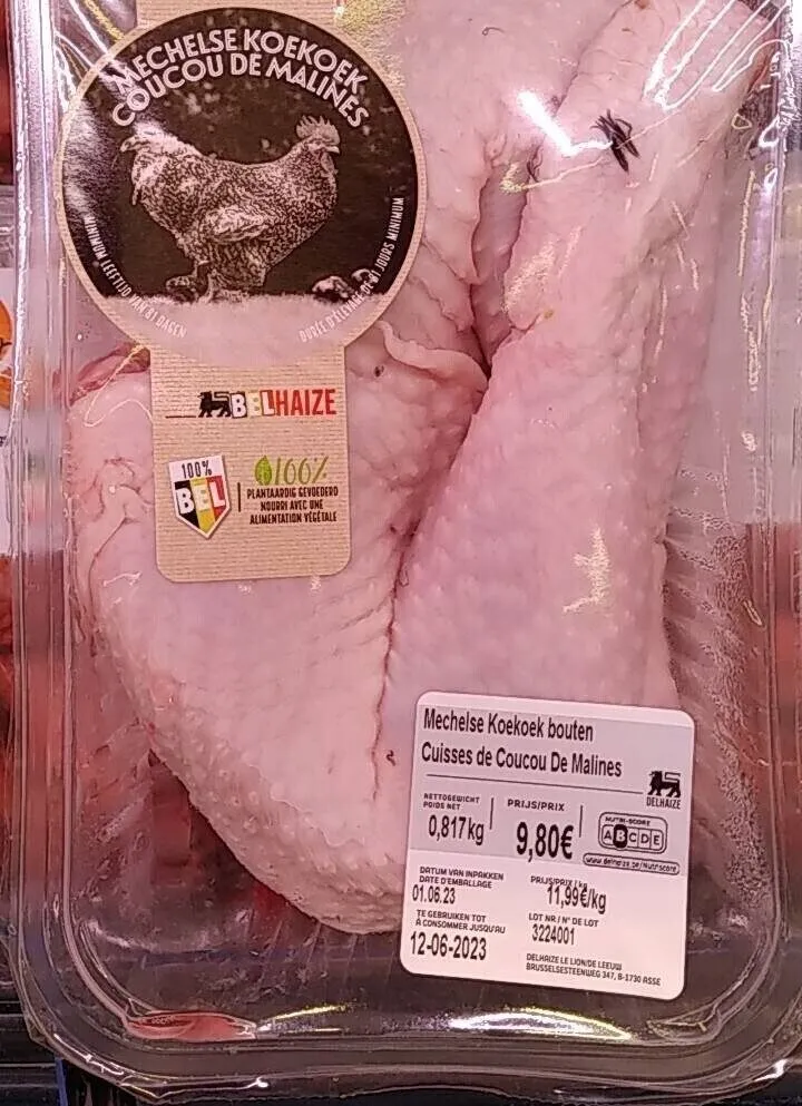 cuisses de coucou de Malines