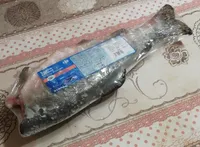 Saumon sauvage