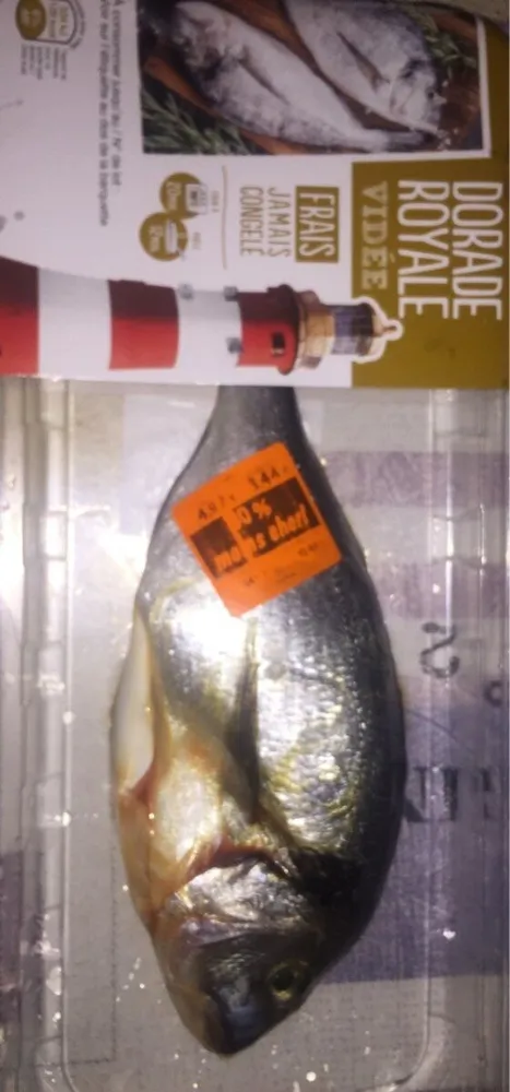 Dorade royale