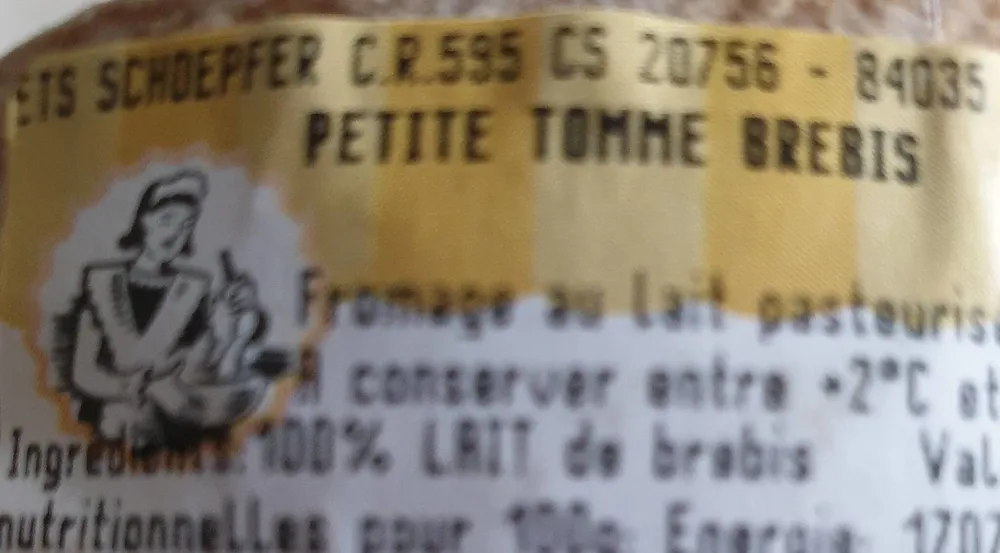 Petite Tomme Brebis