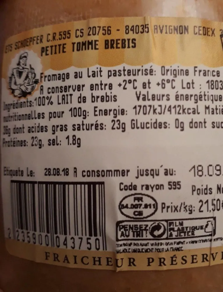 Petite tomme brebis