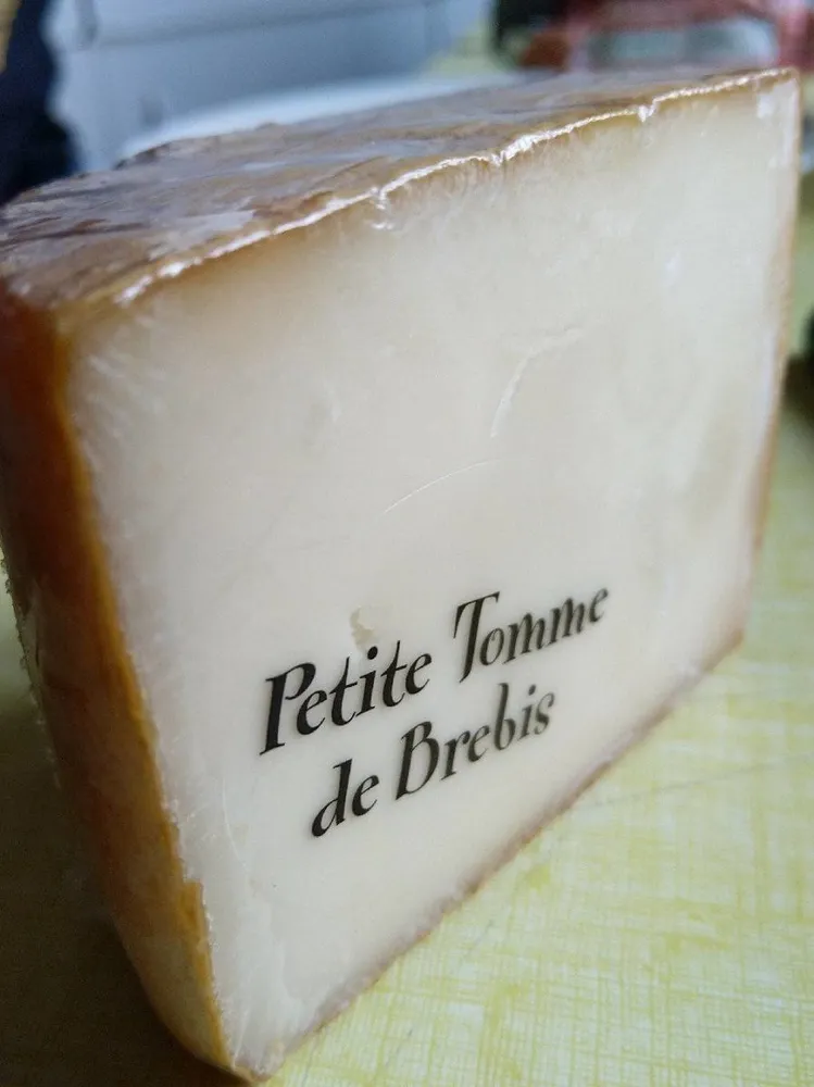 Petite tome brebis