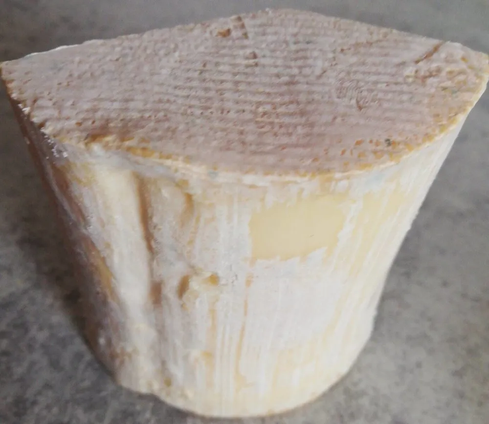 Tomme de montagne bio
