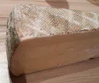 Tomme de montagne