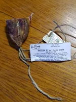 Saucisson sec