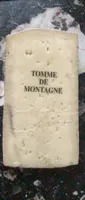 Tomme montagne