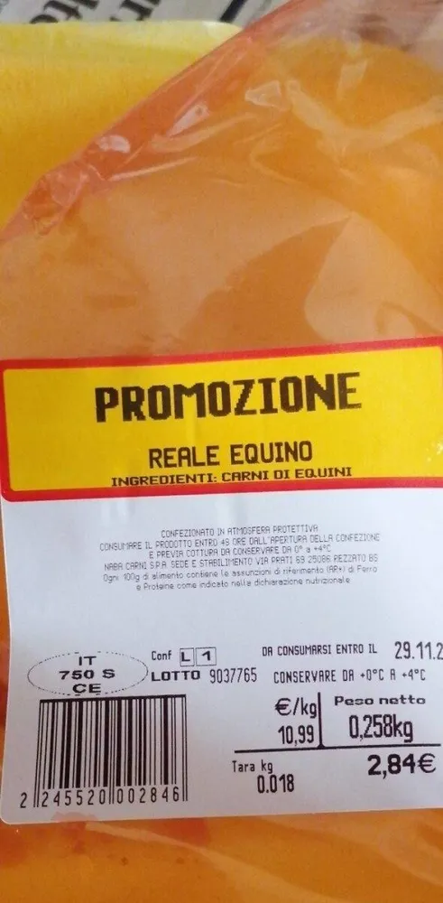 Reale equino