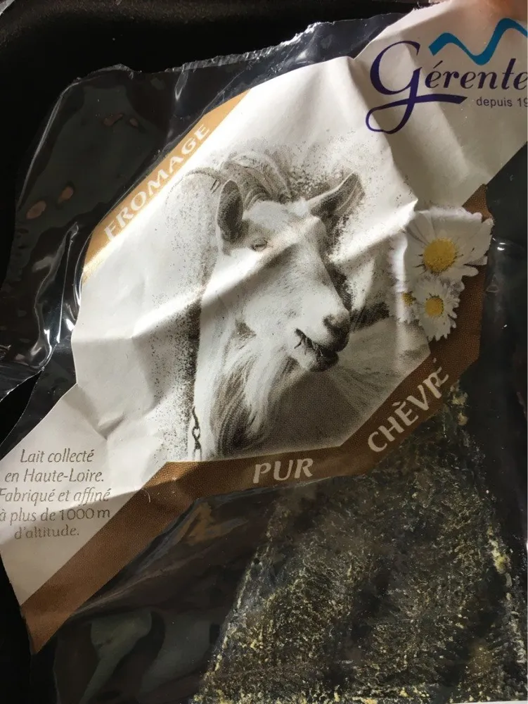 Goudoulet chevre